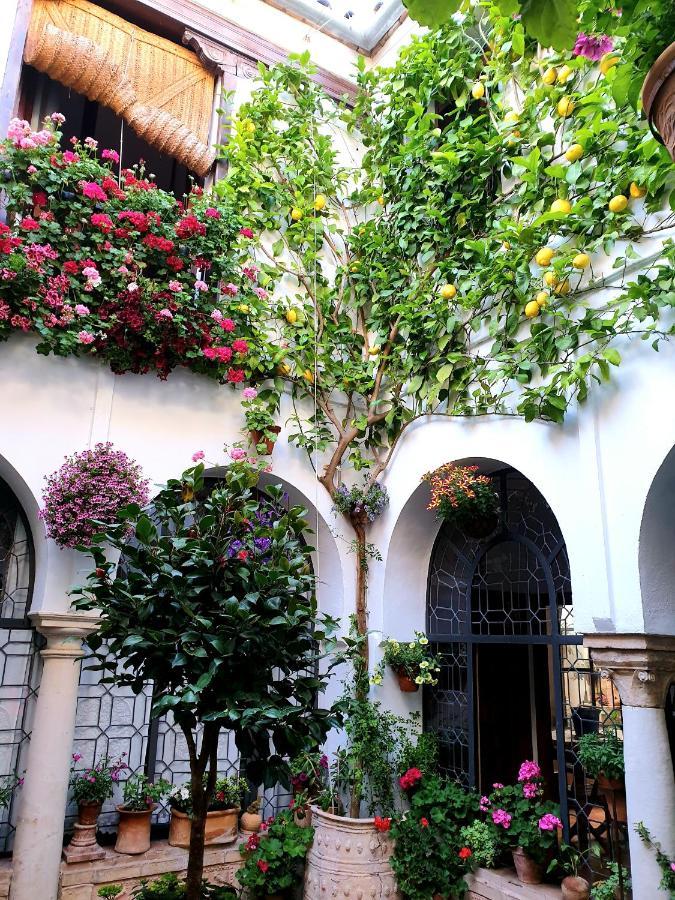 Apto. Planta Baja Y Cochera Barrio San Basilio 코르도바 외부 사진